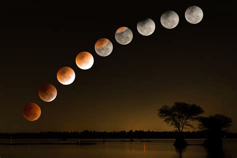 Partial Lunar Eclipse Live Stream: Watch the Blood Beaver Moon Move ...