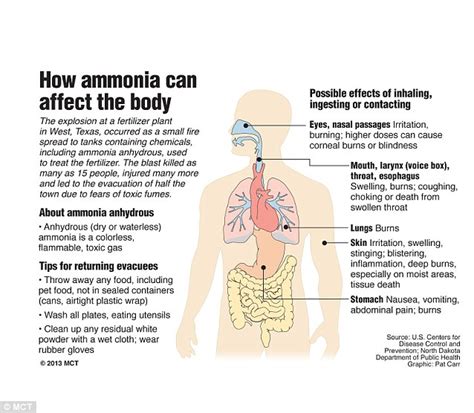 Will ammonia continue to help us in the future? - Ammonia