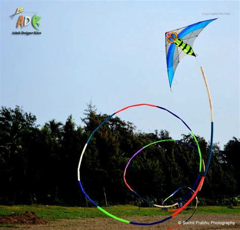 4 Different Types of Stunt Kites You Should Know - FLY360