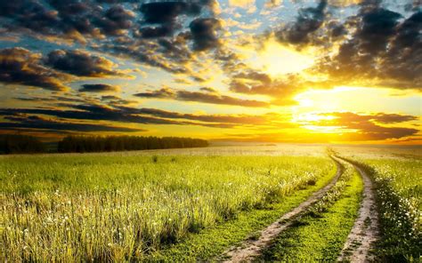 landscape, Nature, Sunset, Path, Clouds, Grass, Dirt Road Wallpapers HD ...