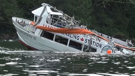 Tofino whale-watching boat capsize sparks calls for more regulation ...