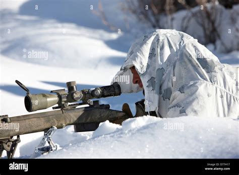 USA California United States Marine Corps Scout / Snipers during ...