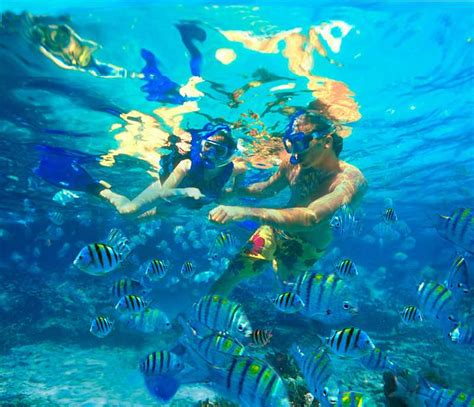 Enjoy Snorkelling in Malaysia at These 10 Exquisite Sites | Holidify