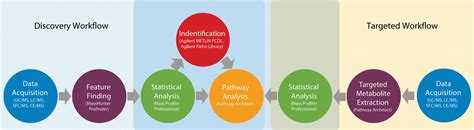 Metabolomics Tools Adapt to Meet Researchers’ Needs