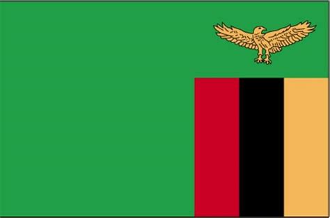 Free picture; flag, Zambia