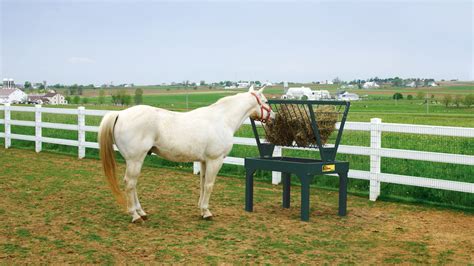 Horse Colic Prevention: An Easy-Read | Farmco