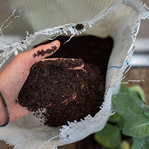 West Michigan composting king turns ‘worm poop’ into black gold