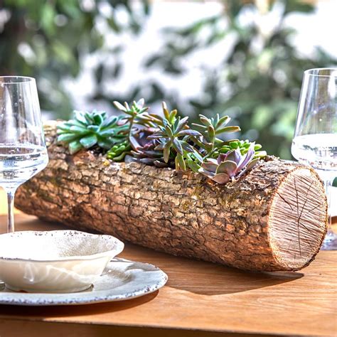 How to Make a Wood Log Planter With Succulents (DIY) | Family Handyman