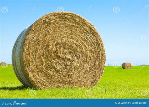 Bale Roll Straw Texture Stock Photography | CartoonDealer.com #48086060