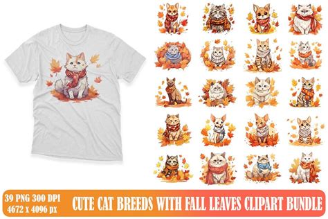 Cute Cat Breeds with Fall Leaves Clipart Bundle Bundle · Creative Fabrica