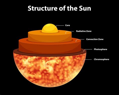 Diagram showing structure of the sun | Solar system projects, Sun ...