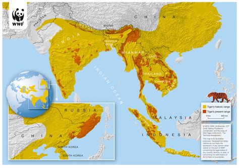 Geographic Distribution - THE BENGAL TIGER