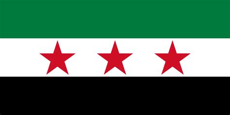 Syria National Flag | History & Facts | Flagmakers