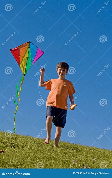 Boy Flying a Kite stock photo. Image of playing, kids - 7793140