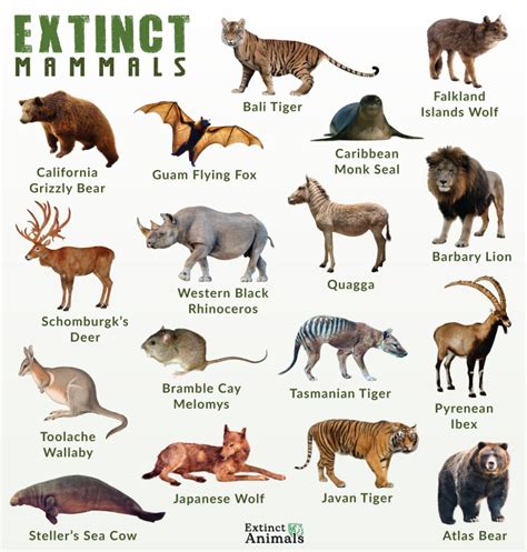 List of Extinct Mammals With Pictures