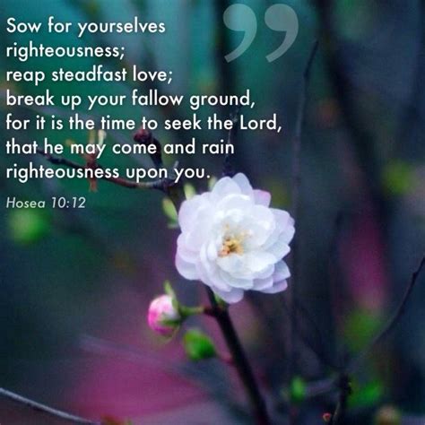 76 best Bible - Hosea images on Pinterest | Bible scriptures ...