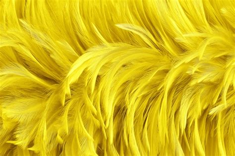 Premium Photo | Beautiful golden yellow bird feathers surface texture ...