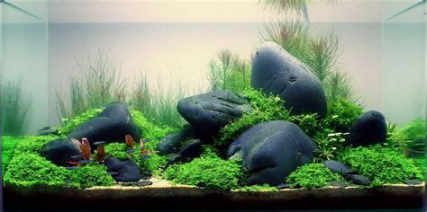 Interior Design, The Unique of Aquascaping: Aquascape Designs | Garden ...