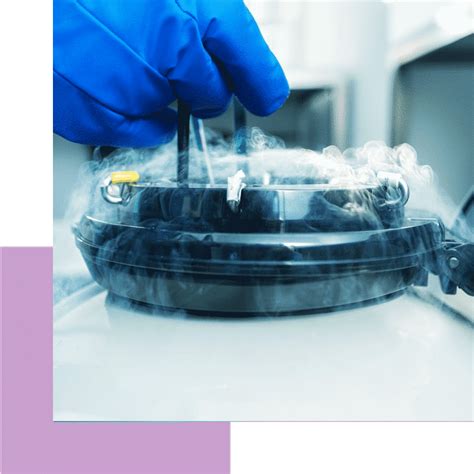 Embryo Cryopreservation - Institute of Life