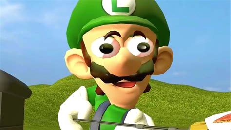 Luigi Funny Face