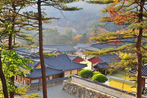 Daegu Half-Day Tour: UNESCO World Heritage Site - Tripitaka Koreana ...