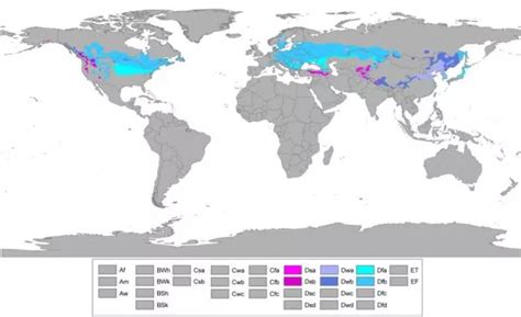 CONTINENTAL CLIMATE: what is it, characteristics, types, flora and ...