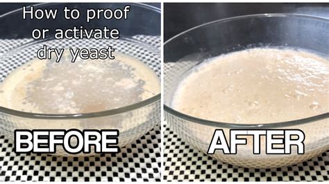 BASIC FOR BEGINNERS: HOW TO ACTIVATE YEAST | RIGHT WAY TO ACTIVATE THE ...