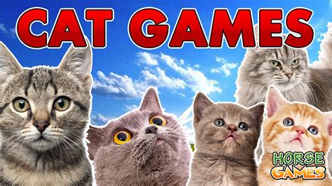 Cat Games - Free Online Cat Games