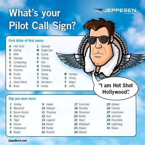 What's your pilot call sign? #aviationhumor #whatsyourcallsign #TGIF ...