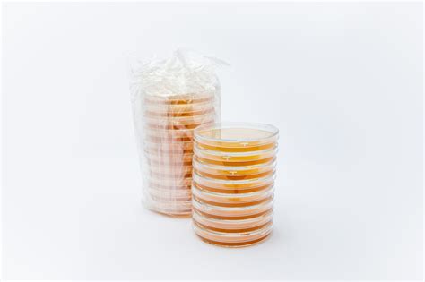 90 mm TSA (Tryptic Soy Agar) Settle Plates - 10 plates per pack