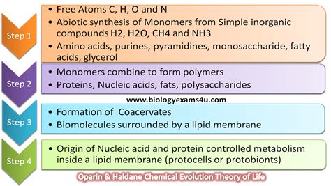 Oparin Haldene Theory of Chemical evolution explained in 4 stages