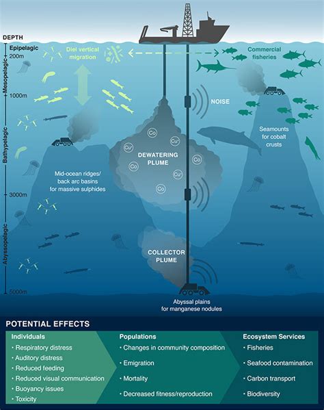 Scientists urge caution, further assessment of ecological impacts above ...