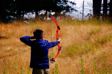 Bow Hunting Tips for Beginners | Electric Hunting Bike