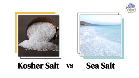 Kosher Salt vs. Sea Salt: What Are The Prominent Differences Between ...