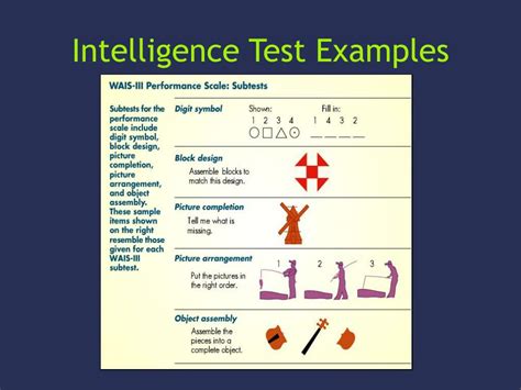 Types Of Intelligence Test