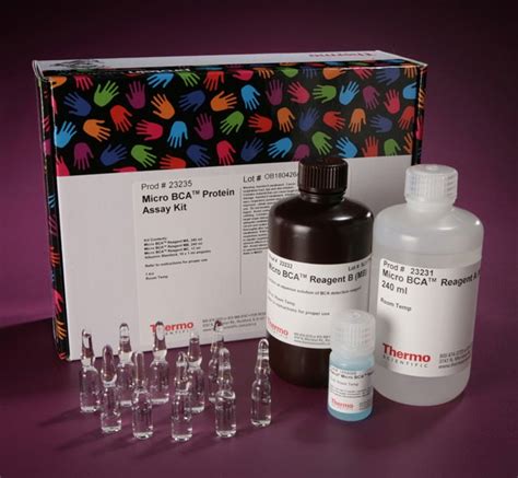 Micro BCA Protein Assay Kit - Thermo Fisher Scientific