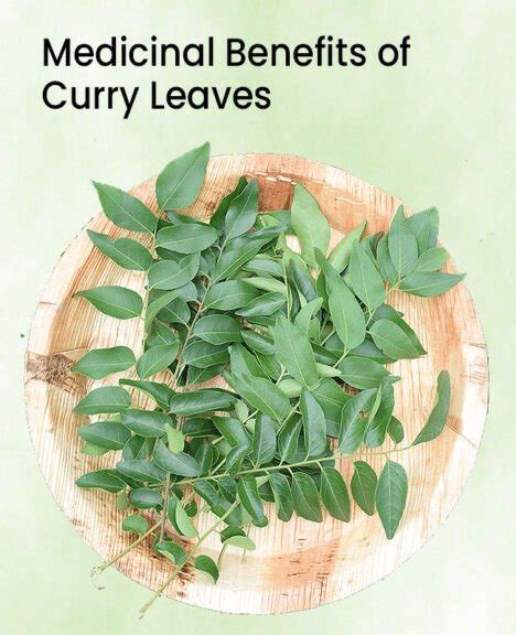 Healthier You | Medicinal Benefits of Curry Leaves - Healthier You