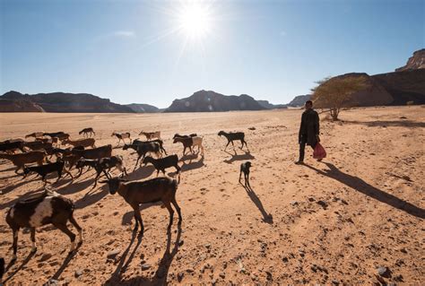 Redrawing the Map: How the World’s Climate Zones Are Shifting - Yale E360