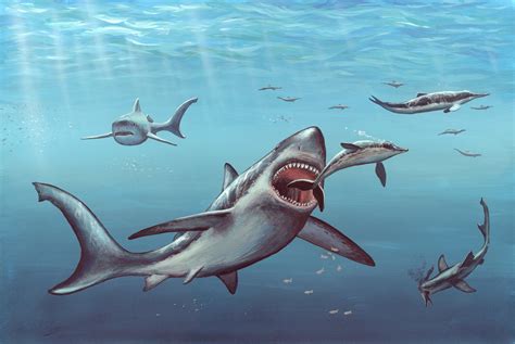 11 Facts About Megalodon, the Giant Prehistoric Shark