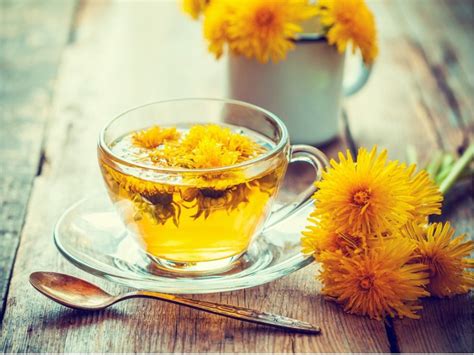 Dandelion Tea For Health: What Are The Benefits Of Dandelion Tea