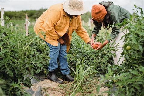 Are Small-Scale Farms the Key to Feeding the World? - The Permaculture ...