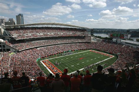 NFL Fans React To Wild Fight At Bengals Game Sunday - The Spun