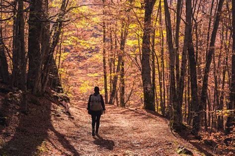 A guide to Italy's Abruzzo National Park - Lonely Planet