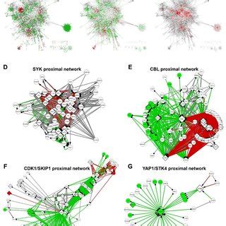 The B-cell receptor signaling pathway is enriched in SYK targets in the ...