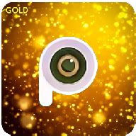 PicsArt Gold - DM App Store