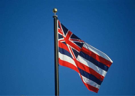 Hawaii State Flags - Nylon & Polyester - 2' x 3' to 5' x 8' | US Flag Store