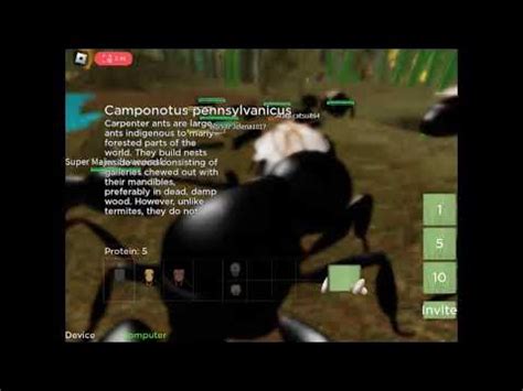 Random Ant life game play!(2) - Carpenter ant Alate - YouTube