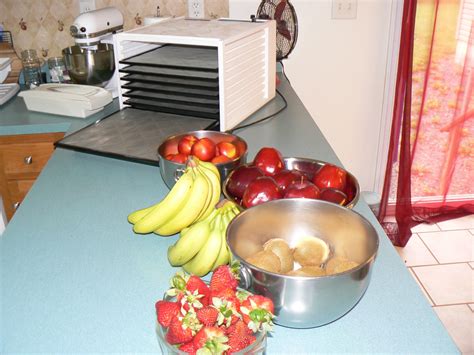 Dehydrating a variety of fruit in your food dehydrator is easy & fun ...