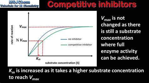 B.7 Competitive and non-competitive inhibitors (HL) - YouTube