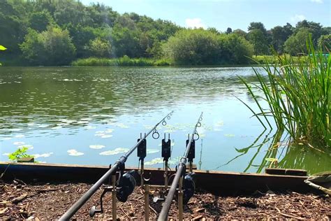 Cheshire Carp Fishing Lakes Near Me - Discover The Best Fishing Spots